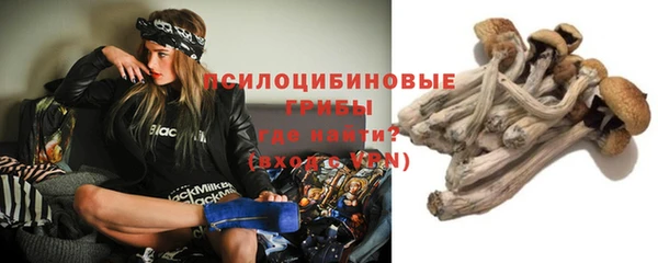 прущий лед Алексеевка