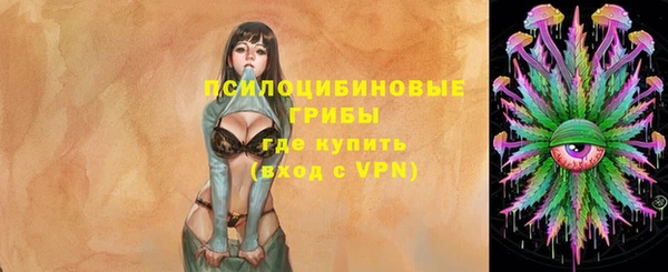 прущий лед Алексеевка
