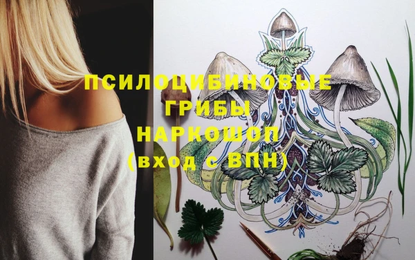 ешки Алексин