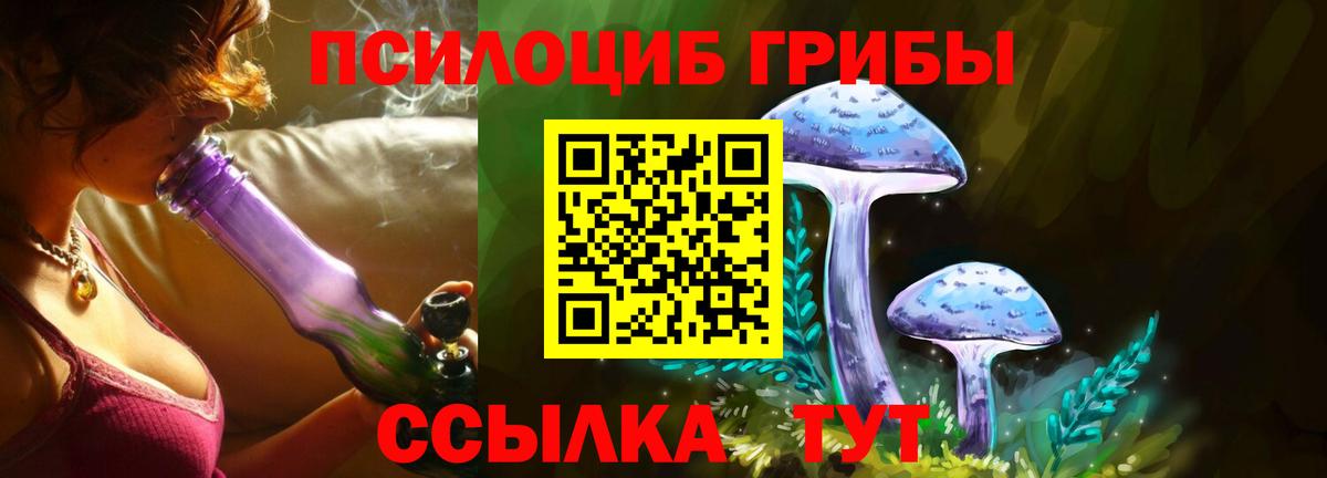Галлюциногенные грибы ЛСД Дербент
